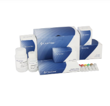 二代反轉(zhuǎn)錄酶相關(guān)產(chǎn)品價格調(diào)整