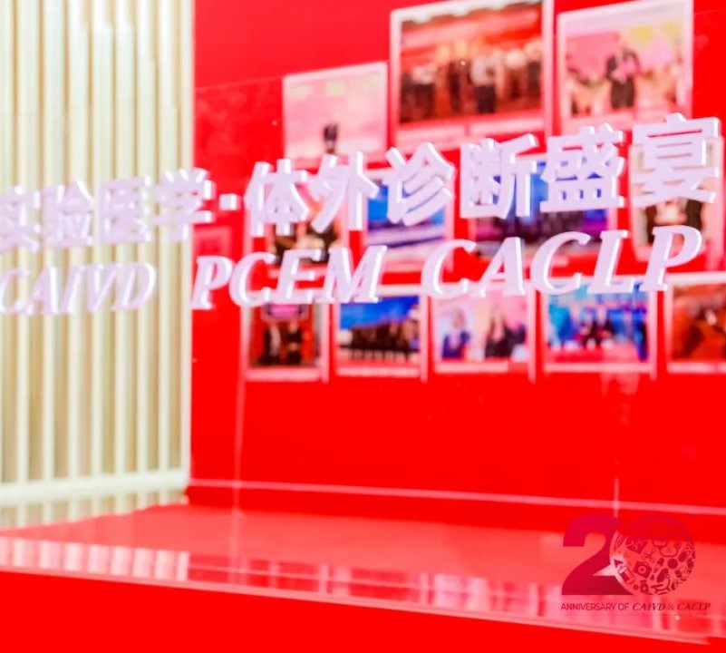 初夏盛會，精彩回顧