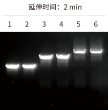 0825-02.png 0825-02.png