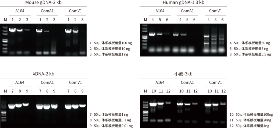 0825-06.png 0825-06.png